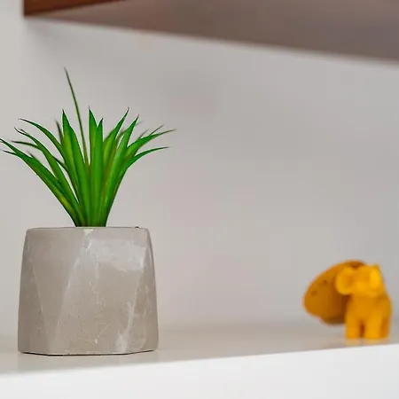 아파트 Apartamento Daisy