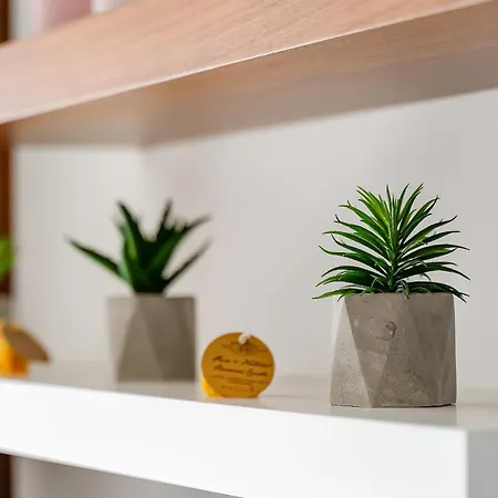 Appartement Apartamento Daisy *